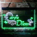ADVPRO Carpe Diem Seize The Day Quote Bedroom Dual Color LED Neon Sign st6-i3679 - White & Green