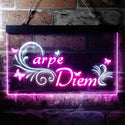ADVPRO Carpe Diem Seize The Day Quote Bedroom Dual Color LED Neon Sign st6-i3679 - White & Purple