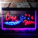 ADVPRO Carpe Diem Seize The Day Feather Pigeon Dual Color LED Neon Sign st6-i3680 - Blue & Red
