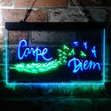 ADVPRO Carpe Diem Seize The Day Feather Pigeon Dual Color LED Neon Sign st6-i3680 - Green & Blue