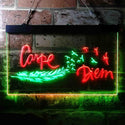 ADVPRO Carpe Diem Seize The Day Feather Pigeon Dual Color LED Neon Sign st6-i3680 - Green & Red