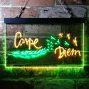 ADVPRO Carpe Diem Seize The Day Feather Pigeon Dual Color LED Neon Sign st6-i3680 - Green & Yellow