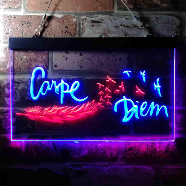 ADVPRO Carpe Diem Seize The Day Feather Pigeon Dual Color LED Neon Sign st6-i3680 - Red & Blue