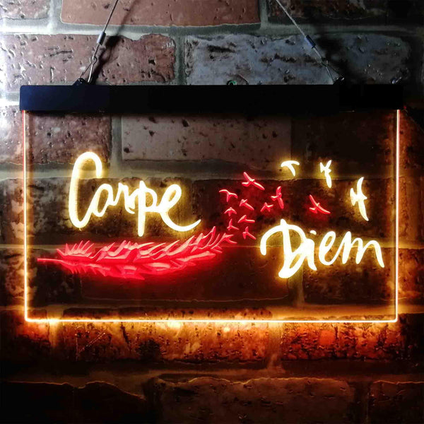 ADVPRO Carpe Diem Seize The Day Feather Pigeon Dual Color LED Neon Sign st6-i3680 - Red & Yellow