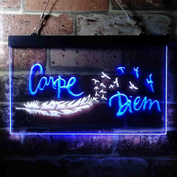 ADVPRO Carpe Diem Seize The Day Feather Pigeon Dual Color LED Neon Sign st6-i3680 - White & Blue