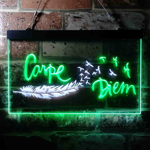 ADVPRO Carpe Diem Seize The Day Feather Pigeon Dual Color LED Neon Sign st6-i3680 - White & Green
