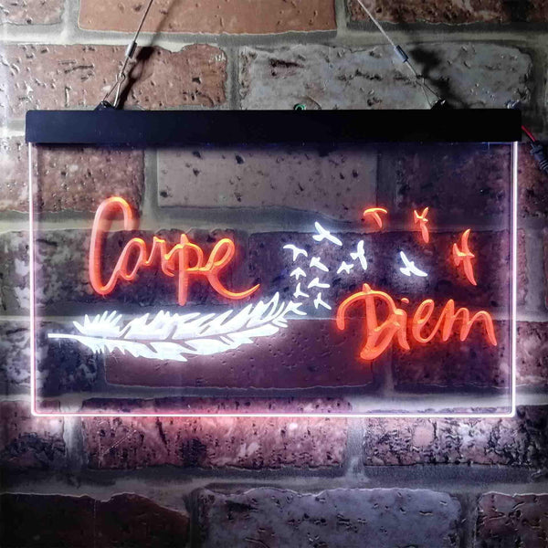 ADVPRO Carpe Diem Seize The Day Feather Pigeon Dual Color LED Neon Sign st6-i3680 - White & Orange