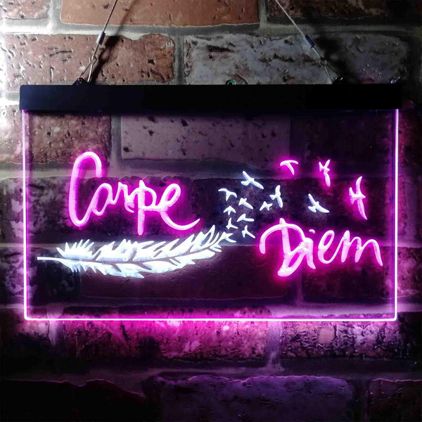 ADVPRO Carpe Diem Seize The Day Feather Pigeon Dual Color LED Neon Sign st6-i3680 - White & Purple