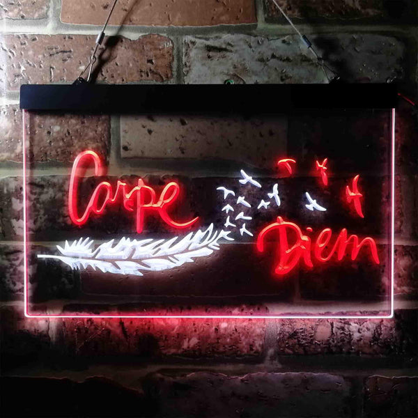ADVPRO Carpe Diem Seize The Day Feather Pigeon Dual Color LED Neon Sign st6-i3680 - White & Red