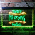 ADVPRO There is No Crying in Baseball Quote Dual Color LED Neon Sign st6-i3688 - Green & Yellow