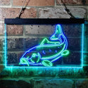 ADVPRO Carp Fish Cabin Game Room Dual Color LED Neon Sign st6-i3716 - Green & Blue
