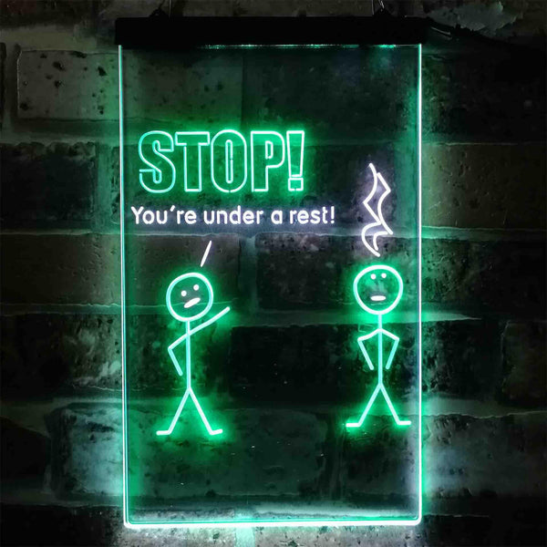 ADVPRO Stop You are Under A Rest Funny Room Display Dual Color LED Neon Sign st6-i3870 - White & Green