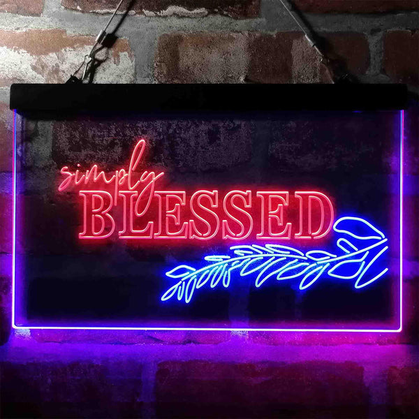 ADVPRO Simple Blessed Natural Display Dual Color LED Neon Sign st6-i3965 - Red & Blue