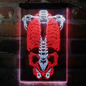 ADVPRO Human Body Skeleton Bond Art  Dual Color LED Neon Sign st6-i4063 - White & Red