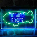 ADVPRO The World is Yours Blimp Room Dual Color LED Neon Sign st6-i4154 - Green & Blue