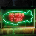 ADVPRO The World is Yours Blimp Room Dual Color LED Neon Sign st6-i4154 - Green & Red