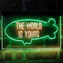 ADVPRO The World is Yours Blimp Room Dual Color LED Neon Sign st6-i4154 - Green & Yellow