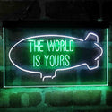 ADVPRO The World is Yours Blimp Room Dual Color LED Neon Sign st6-i4154 - White & Green