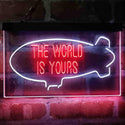 ADVPRO The World is Yours Blimp Room Dual Color LED Neon Sign st6-i4154 - White & Red