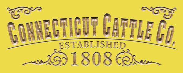 ADVPRO Name Personalized Company Established Year Gifts Wood Engraved Wooden Sign wpc0348-tm - Yellow