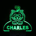 ADVPRO Cat Personalized Night Light Baby Kids Name Day/Night Sensor LED Sign ws1018-tm - Green