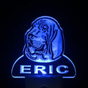 ADVPRO Bloodhound Dog Personalized Night Light Name Day/Night Sensor LED Sign ws1055-tm - Blue