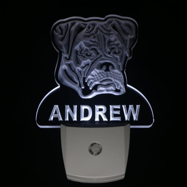 ADVPRO Boxer Dog Personalized Night Light Name Day/Night Sensor LED Sign ws1057-tm - White