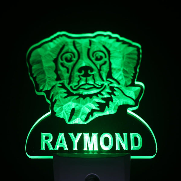 ADVPRO Brittany Spaniel Personalized Night Light Name Day/Night Sensor LED Sign ws1058-tm - Green