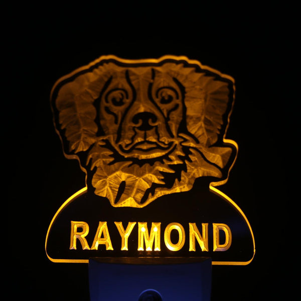 ADVPRO Brittany Spaniel Personalized Night Light Name Day/Night Sensor LED Sign ws1058-tm - Yellow