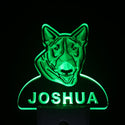 ADVPRO Bull Terrier Personalized Night Light Name Day/Night Sensor LED Sign ws1060-tm - Green