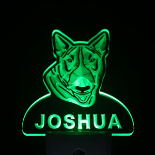 ADVPRO Bull Terrier Personalized Night Light Name Day/Night Sensor LED Sign ws1060-tm - Green