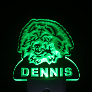 ADVPRO Chow Chow Dog Personalized Night Light Name Day/Night Sensor LED Sign ws1062-tm - Green