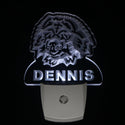 ADVPRO Chow Chow Dog Personalized Night Light Name Day/Night Sensor LED Sign ws1062-tm - White