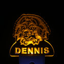 ADVPRO Chow Chow Dog Personalized Night Light Name Day/Night Sensor LED Sign ws1062-tm - Yellow