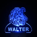 ADVPRO Collie Dog Personalized Night Light Name Day/Night Sensor LED Sign ws1064-tm - Blue