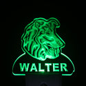 ADVPRO Collie Dog Personalized Night Light Name Day/Night Sensor LED Sign ws1064-tm - Green