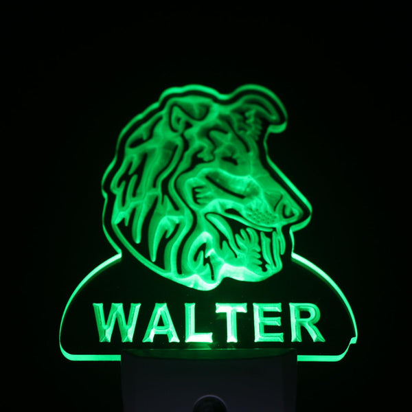 ADVPRO Collie Dog Personalized Night Light Name Day/Night Sensor LED Sign ws1064-tm - Green