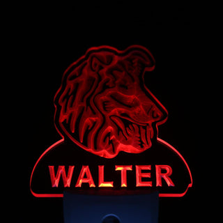 ADVPRO Collie Dog Personalized Night Light Name Day/Night Sensor LED Sign ws1064-tm - Red