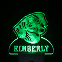 ADVPRO Dachshund Dog Personalized Night Light Name Day/Night Sensor LED Sign ws1065-tm - Green