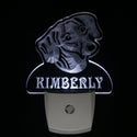 ADVPRO Dachshund Dog Personalized Night Light Name Day/Night Sensor LED Sign ws1065-tm - White