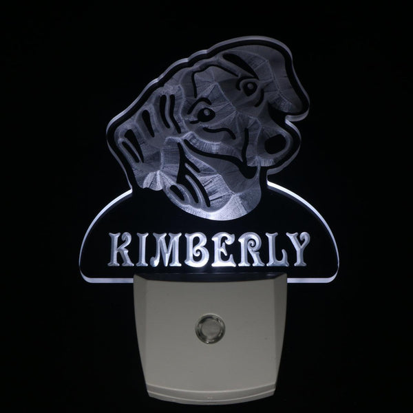 ADVPRO Dachshund Dog Personalized Night Light Name Day/Night Sensor LED Sign ws1065-tm - White