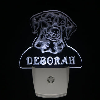 ADVPRO Dalmatian Dog Personalized Night Light Name Day/Night Sensor LED Sign ws1066-tm - White
