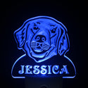 ADVPRO Golden Retriever Personalized Night Light Day/Night Sensor LED Sign ws1069-tm - Blue