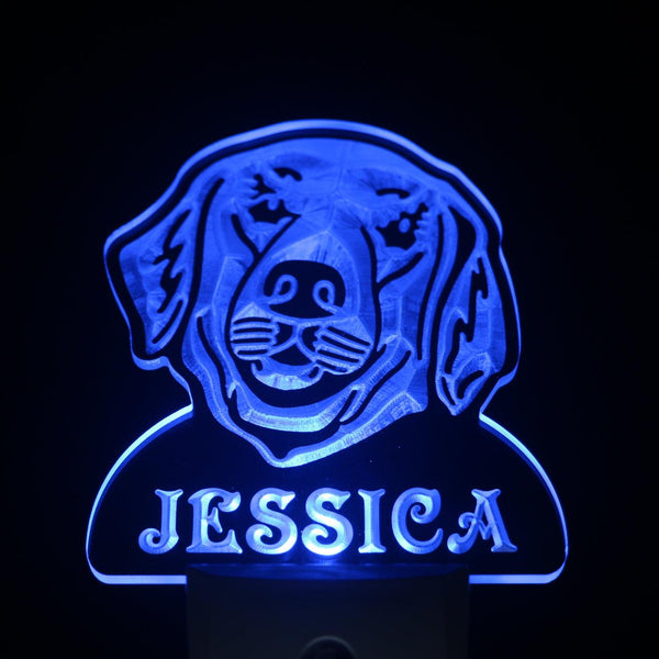 ADVPRO Golden Retriever Personalized Night Light Day/Night Sensor LED Sign ws1069-tm - Blue