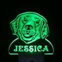 ADVPRO Golden Retriever Personalized Night Light Day/Night Sensor LED Sign ws1069-tm - Green