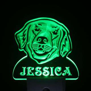 ADVPRO Golden Retriever Personalized Night Light Day/Night Sensor LED Sign ws1069-tm - Green