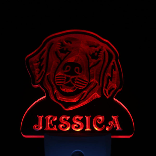 ADVPRO Golden Retriever Personalized Night Light Day/Night Sensor LED Sign ws1069-tm - Red