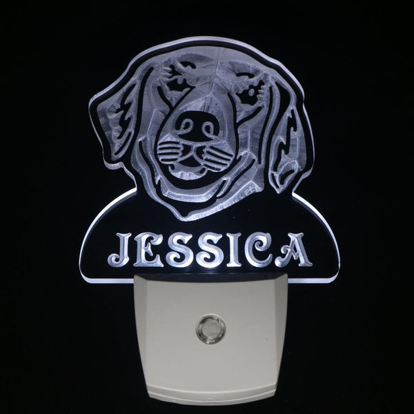 ADVPRO Golden Retriever Personalized Night Light Day/Night Sensor LED Sign ws1069-tm - White