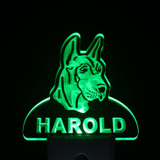 ADVPRO Great Dane Dog Personalized Night Light Name Day/Night Sensor LED Sign ws1070-tm - Green