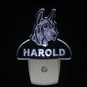 ADVPRO Great Dane Dog Personalized Night Light Name Day/Night Sensor LED Sign ws1070-tm - White